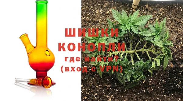 шишки Баксан
