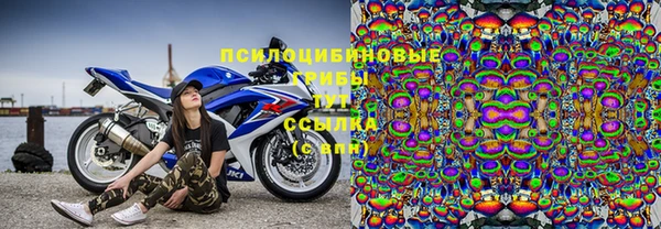 шишки Баксан
