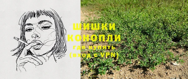 шишки Баксан