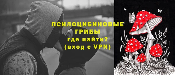ГАЛЛЮЦИНОГЕННЫЕ ГРИБЫ Сосновоборск